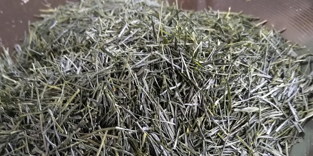 一番つみ荒茶