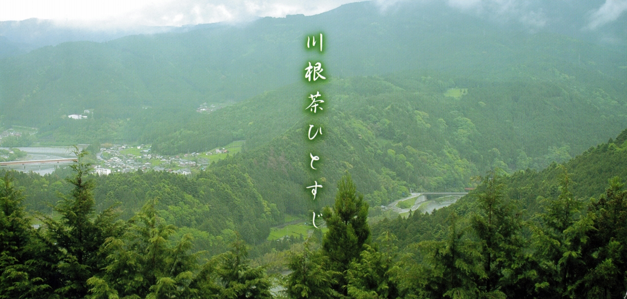 川根茶ひとすじ